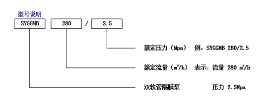 雙軟管隔膜泵